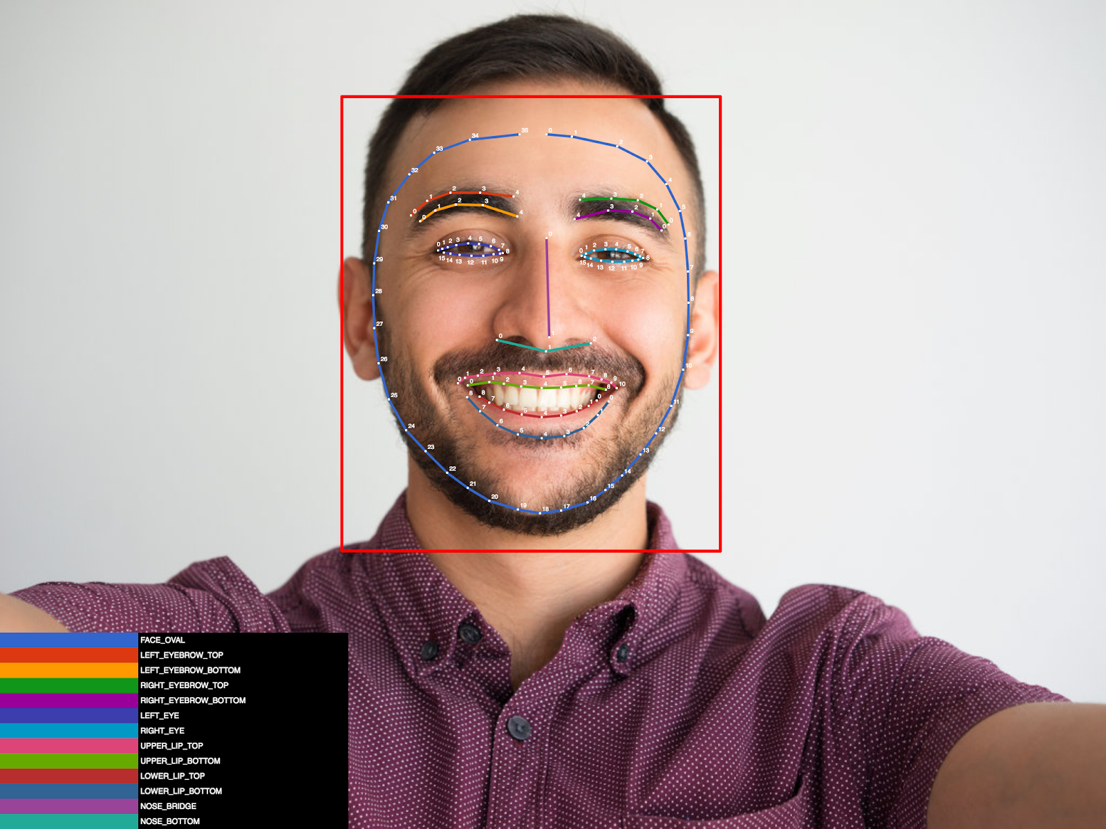 New Updates To Firebase Enterprise Grade Support ML Kit Face Contours 
