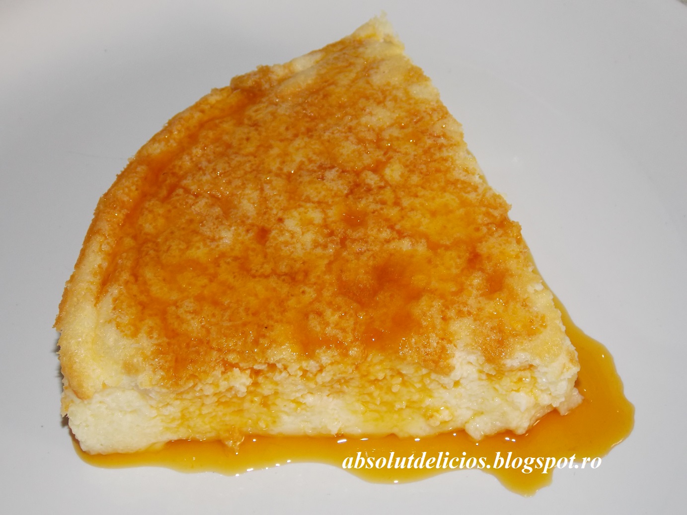 Absolut Delicios YOGURT PUDDING