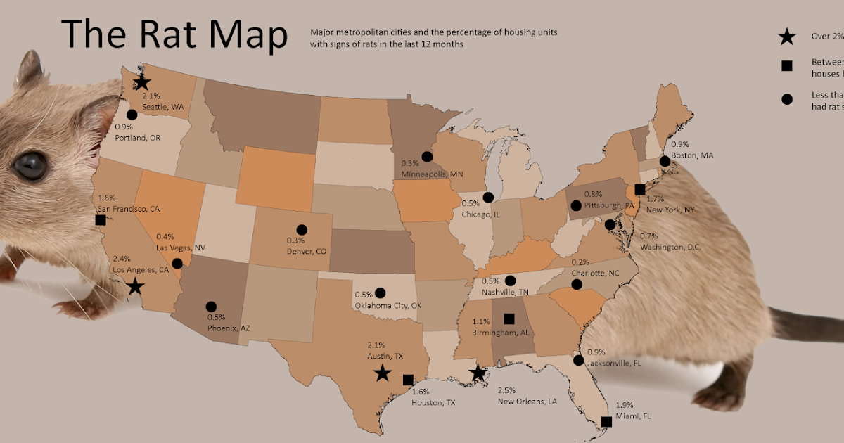 Shoreline Area News Rats!