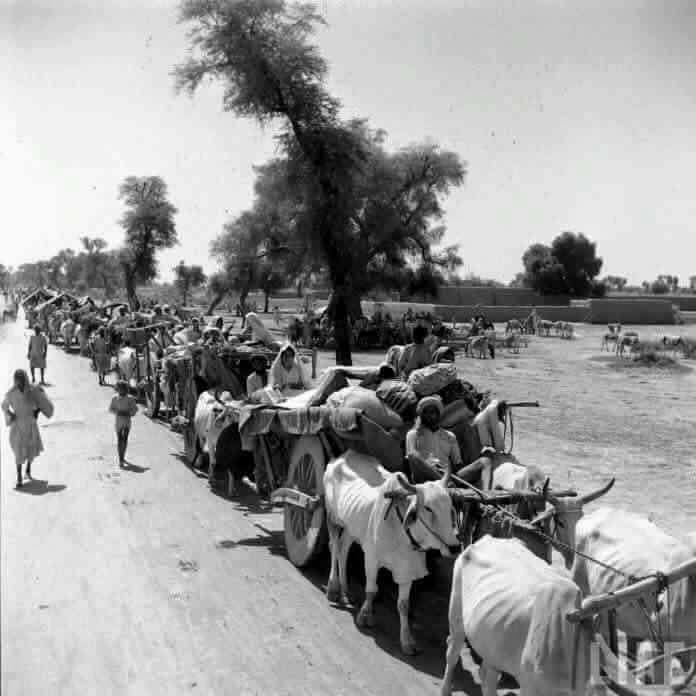 dil-ki-dunya-pakistan-independence-day-14-august-1947