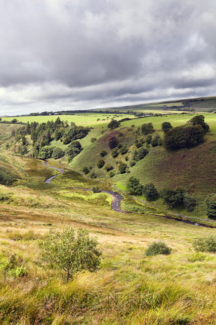 View along the Barle Valley in Exmoor National Park by Martyn Ferry Photography