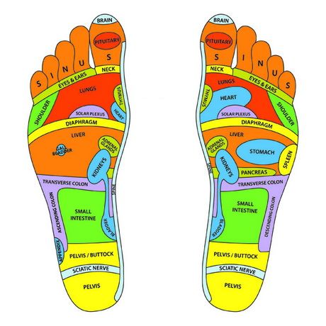 Letak Titik Refleksi Kaki Kanan Kiri Lengkap Dengan Gambar Kali Ini Saya Akan Berbagi Informasi Tentang Letak Titik Titik Refleksi P Kaki Pijat Pengetahuan