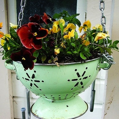Colander Planter Pot #planter #outdoorplanter #planterboxes #outdoor @SimplyDesigning