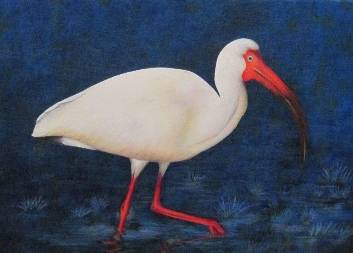 Американский художник. Rick Hooper Американский художник. Rick Hooper