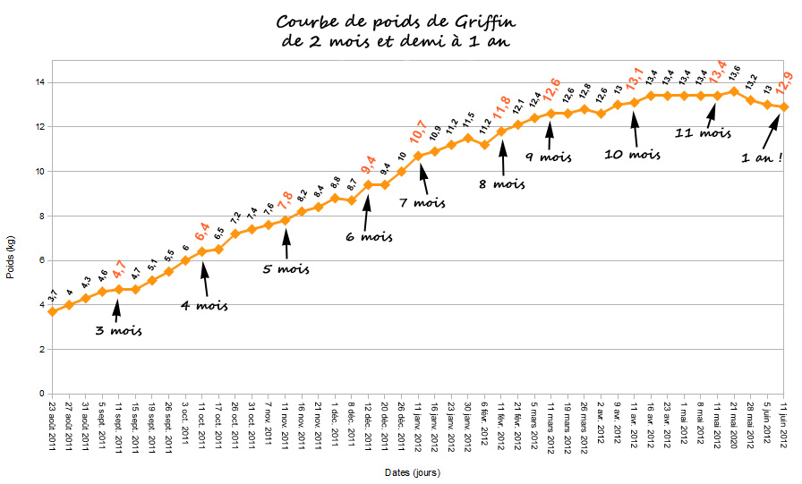 pois cassé calorie guérir