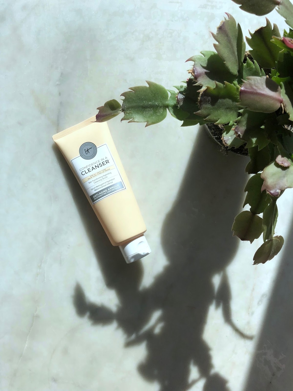 It Cosmetics Confidence in a Cleanser: A quick review