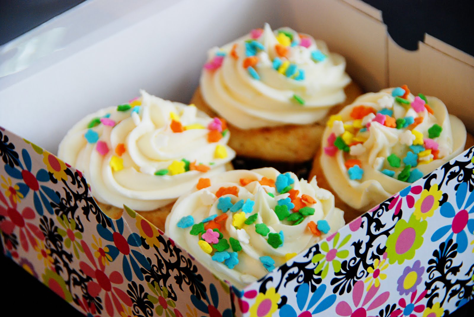 Cute Cupcake Boxes 