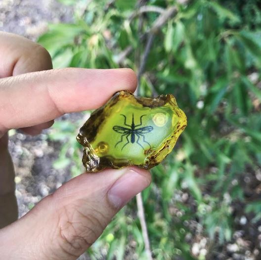 Super Punch Jurassic Park amber pin