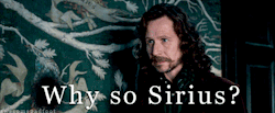 Why so Sirius? Sirius Black gif