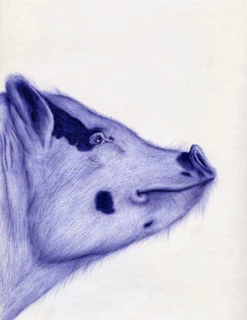 12-Pig-Sarah-Esteje-ABADIDABOU-Hyper-realistic-Ballpoint-Pen-Animals-www-designstack-co
