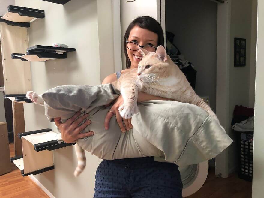 A Couple Adopted This Adorable 33-Pound Cat And Began His Weight Loss Journey