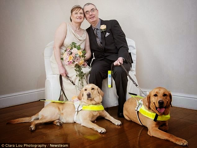Seeing Eye Dogs Are The Only Seeing Eye Dogs Are The Only