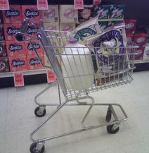 Shopping Cart in Aisle