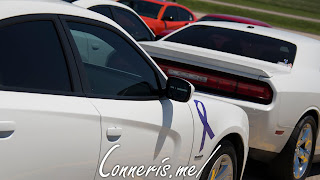 Dodge Charger Purple Ribbon