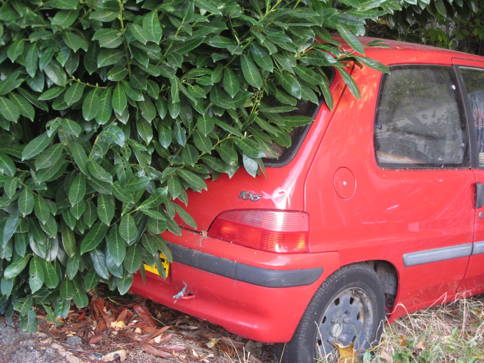 Ham Photos Little used car