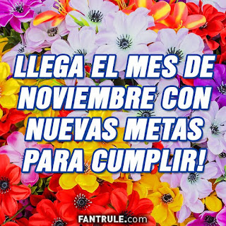 imagenes bienvenido noviembre frases