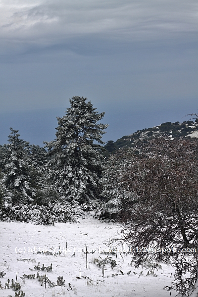 Snow on Mt. Aenos, Kefalonia