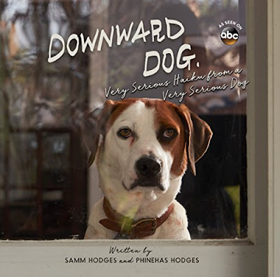 Downward Dog Downward Dog