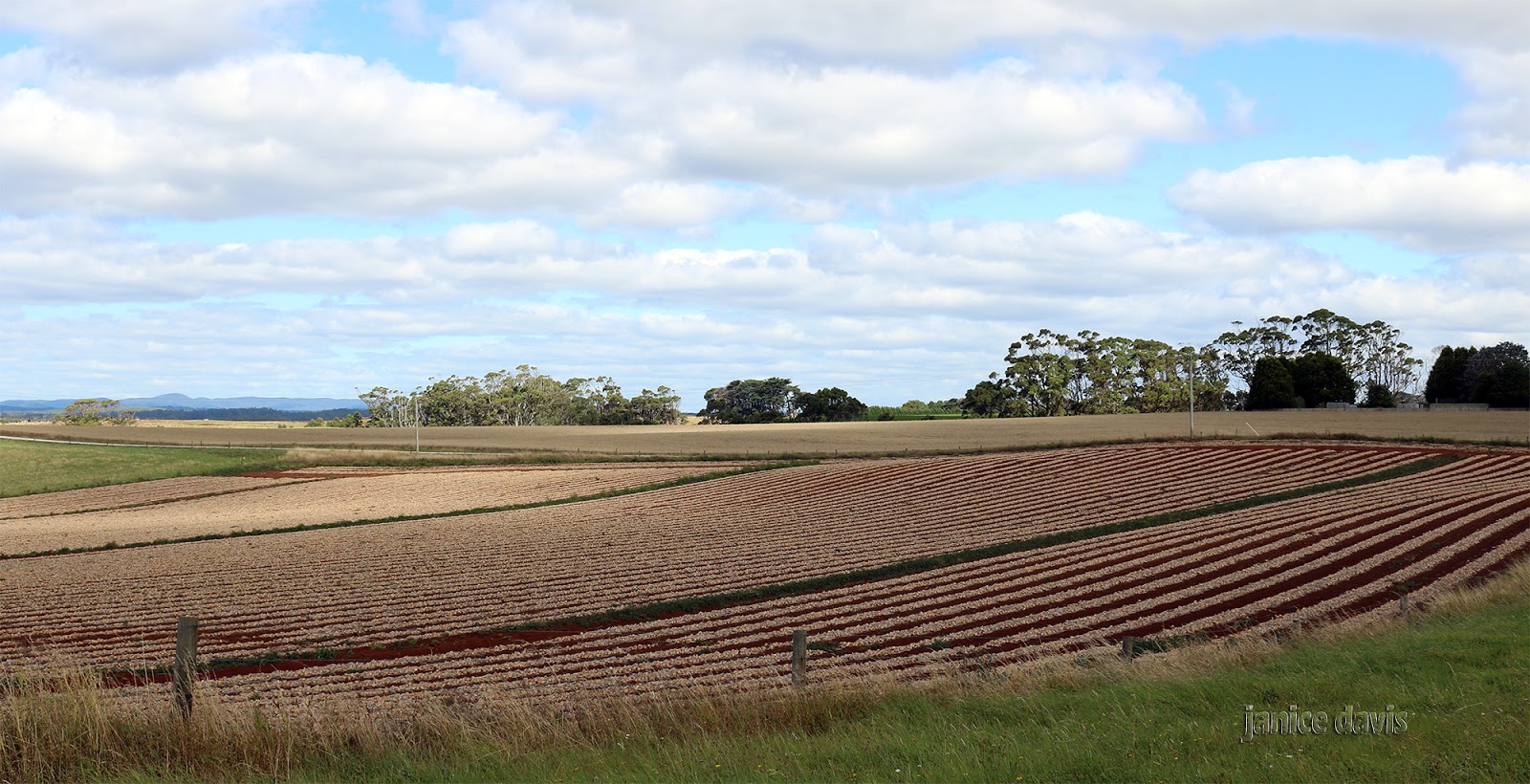 thoughts & happenings Irishtown, Tasmania.