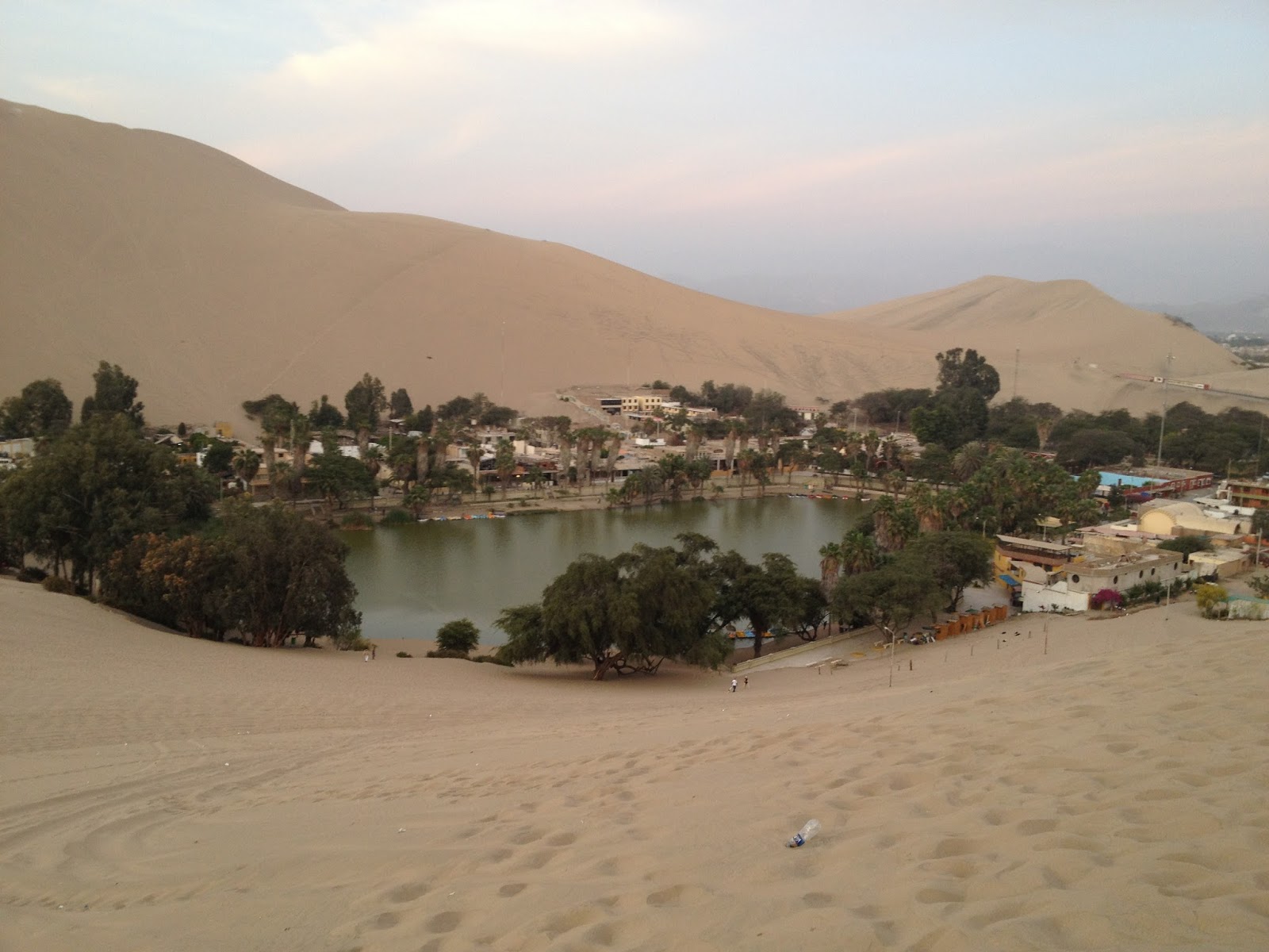 El oasis El oasis