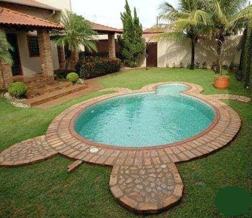 Sea Turtle Shape Pool Design Idea