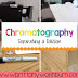 Chromatography- Separating a Solution
