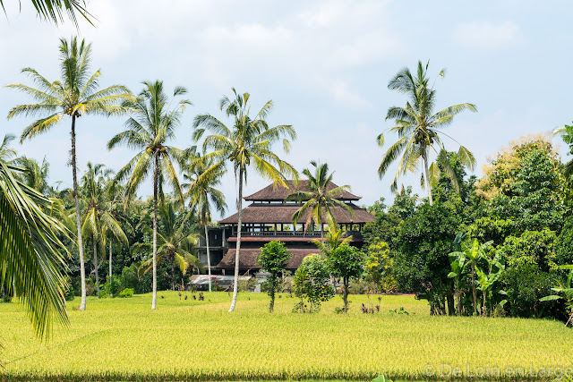 Saudara Home - Ubud - Bali