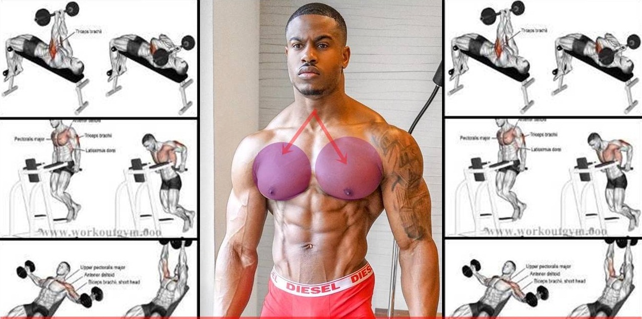 Top Supersets Chest Workout – Build Bigger, Stronger Pecs - Fitness Freak