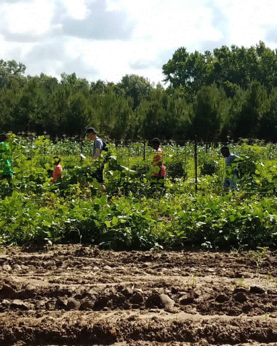 Southern University Ag Center and College of Agriculture St. Helena