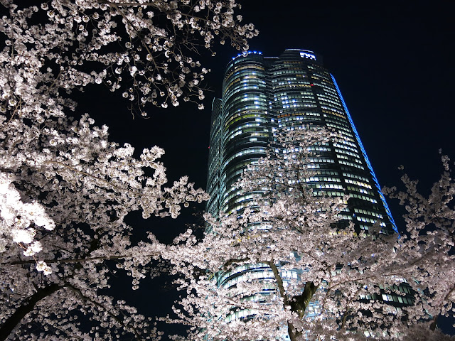 会社帰りに東京 夜桜めぐり 六本木 目黒の桜ライトアップ Laugh And Grow Fat