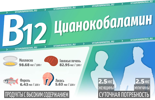 Витамин B12 (Цианокобаламин) — инфографика