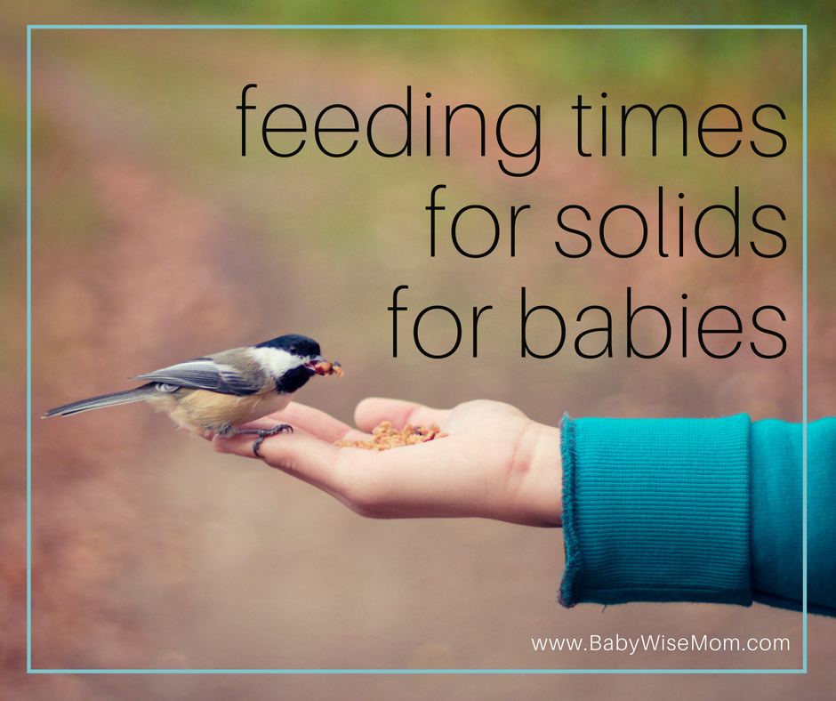 Feeding Times for Solids for Babies Feeding Times for Solids for Babies