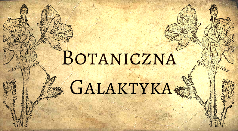 Botaniczna Galaktyka - SKLEP
