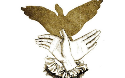 hand-shadow-of-flying-bird.jpg