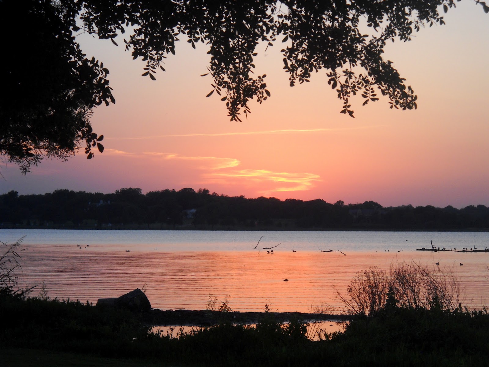 White Rock Lake, Dallas, Texas Spectacular Sunsets at Sunset Bay