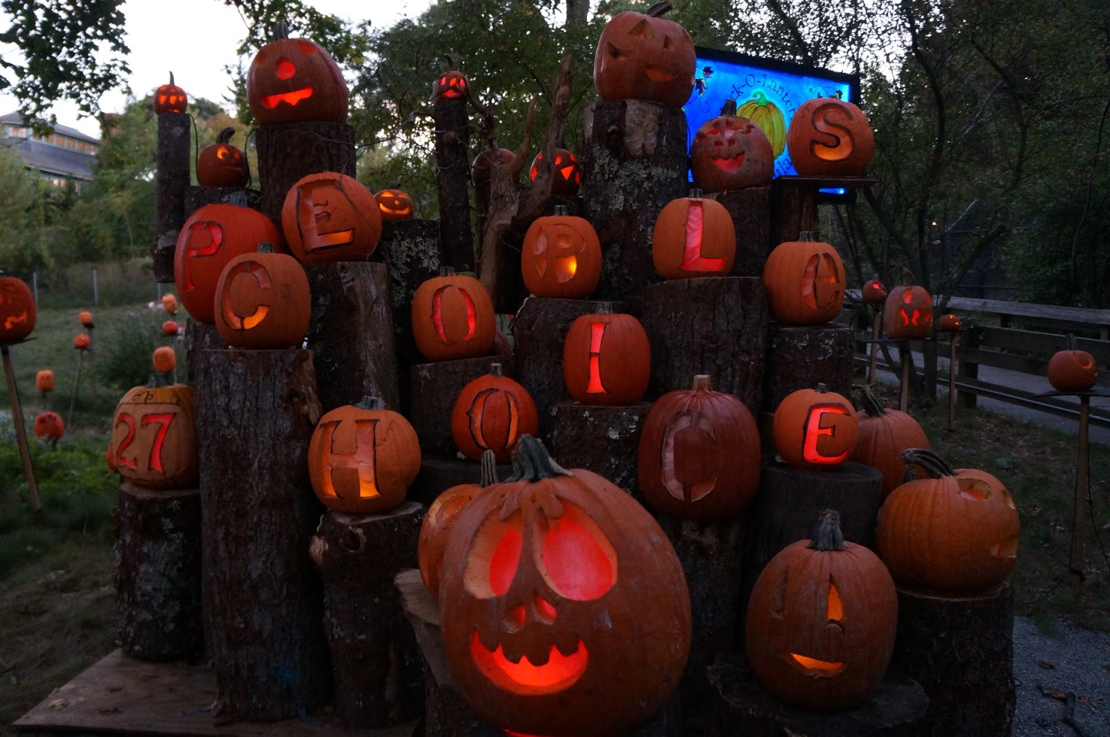 Evan and Lauren's Cool Blog 10/12/15 Roger Williams Park Zoo JackO