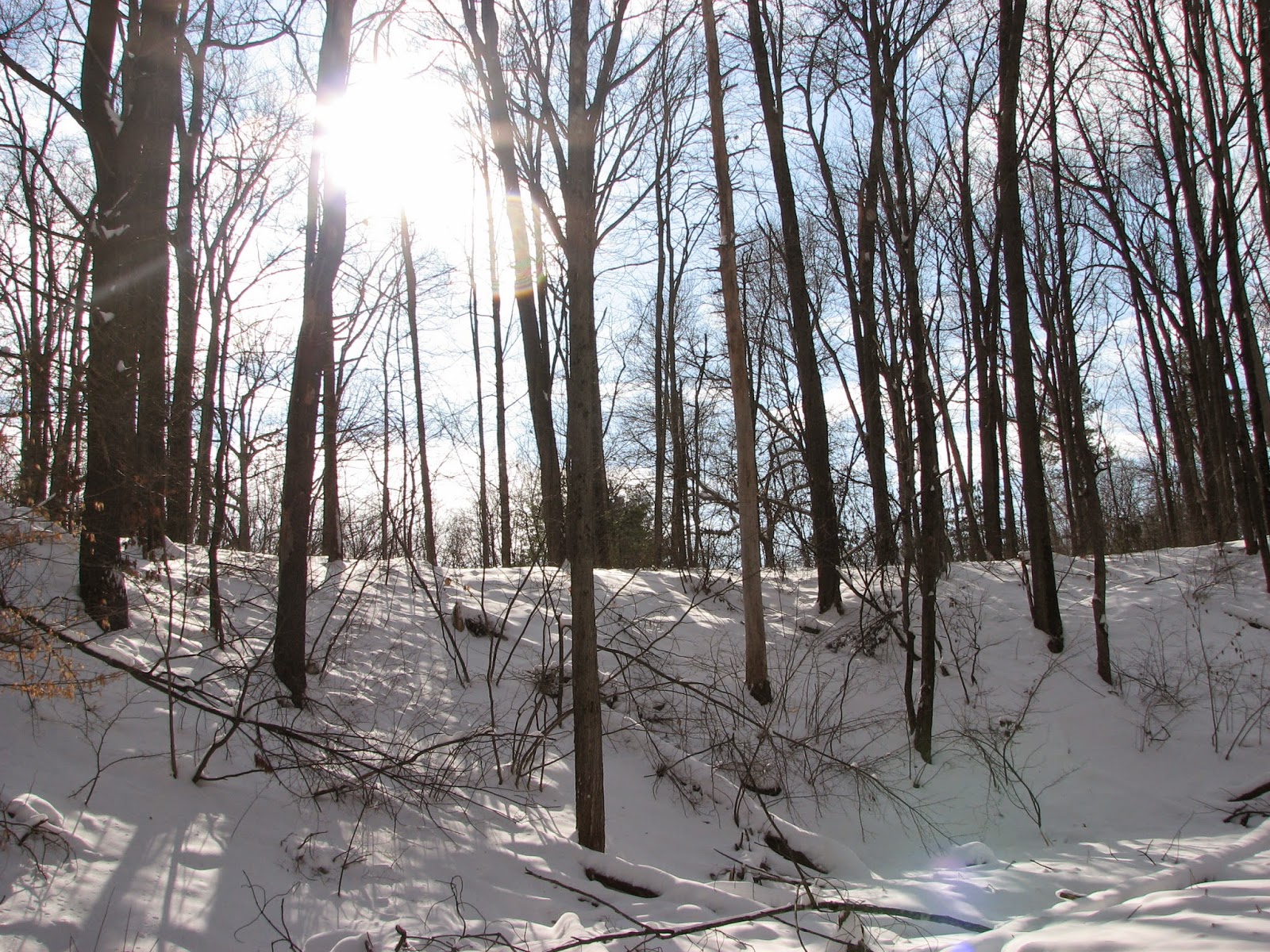 Centennial Brook on snowshoe. South Burlington, VT Litter with a