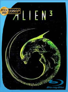 Alien 3 (1992) HD [1080P] latino [GoogleDrive] RijoHD