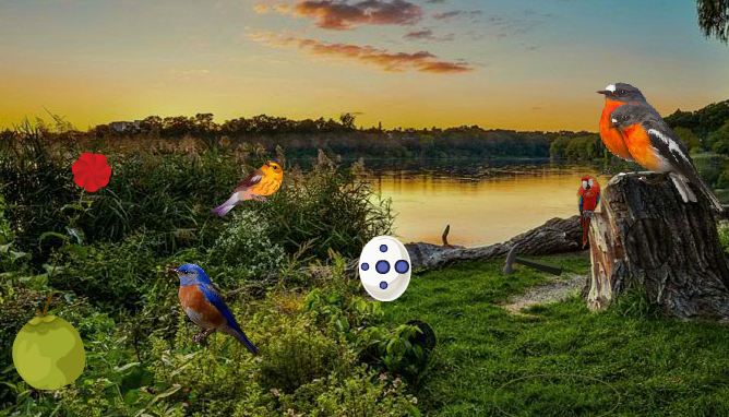 WowEscape Amazon Birds Forest Escape Walkthrough