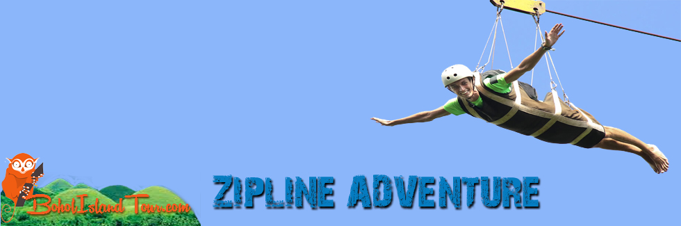 Zip Line Adventure