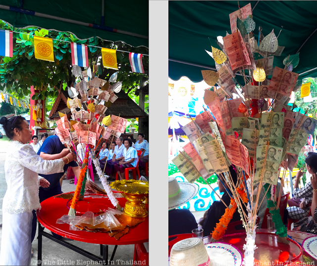 Tree of money at village temple in Nan - Thailand Tree of money at village temple in Nan - Thailand