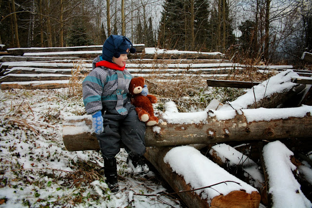 Утро На Бьорновой Опушке