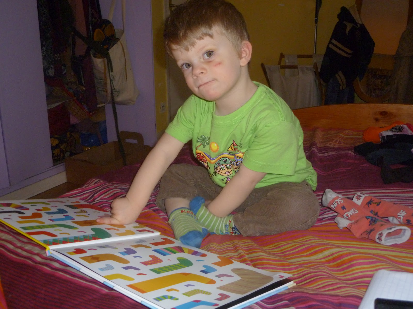 Madhouse Family Reviews Children's book review Socks Nick Sharratt