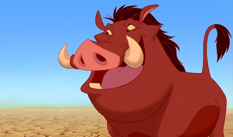 Erin's Blog: Timon and Pumbaa