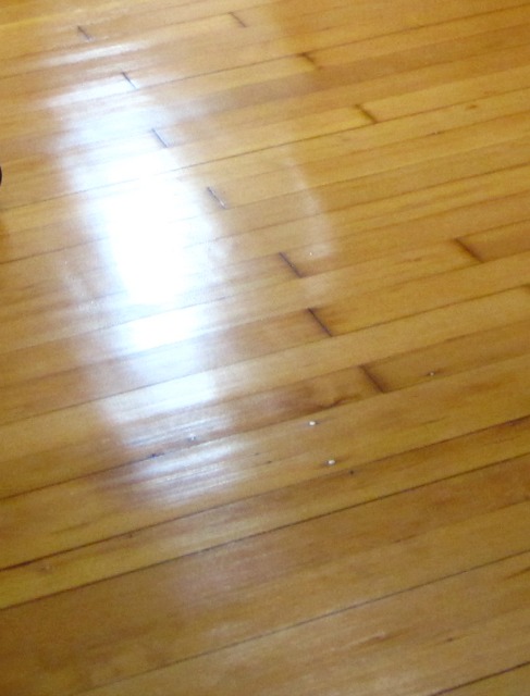 Shiny hardwood floor