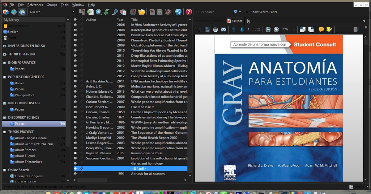 greys anatomy s10 ita - Search and Download