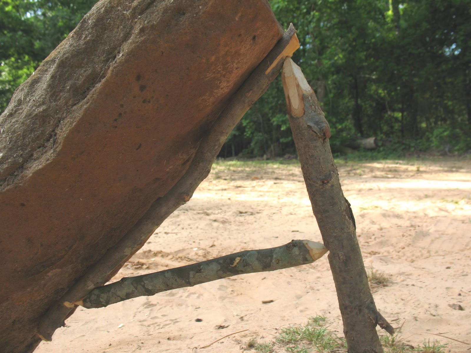Sensible Survival: Make a Fast, Simple, and Effective Baited Deadfall Trap