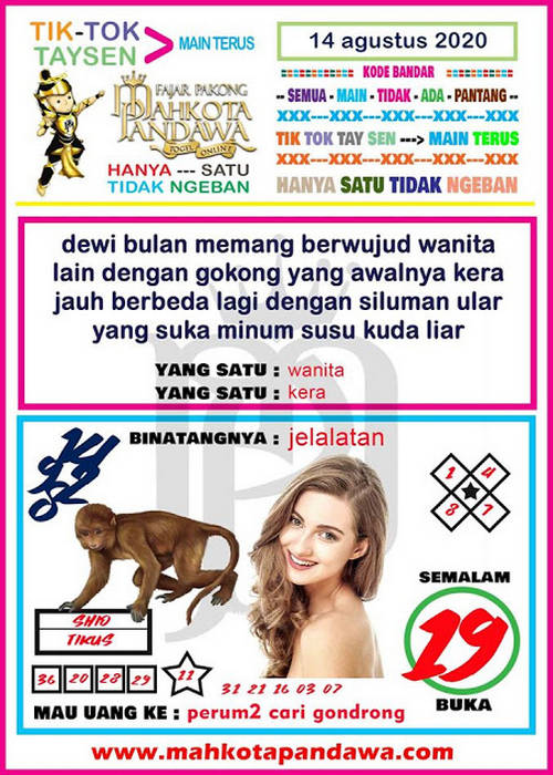 SYAIR HK ASIKTOTO