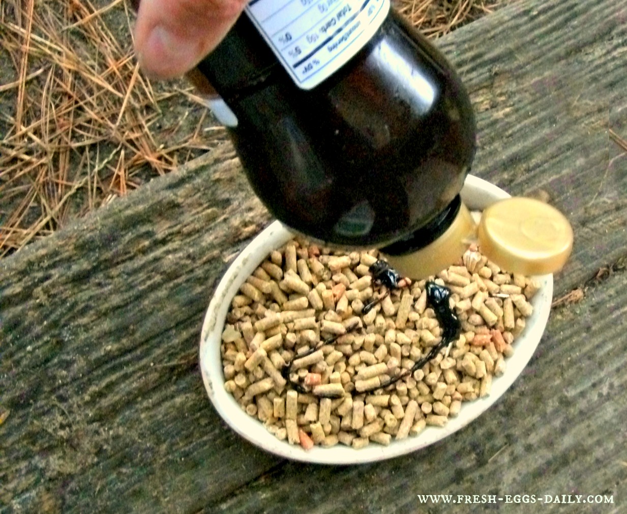 Benefits of Molasses for Chickens Fresh Eggs Daily® with Lisa Steele