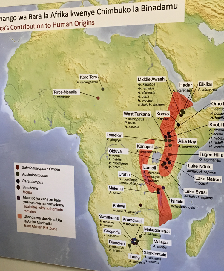 2016 Around the World Trip Dar Es Salaam, Tanzania Feb 22nd